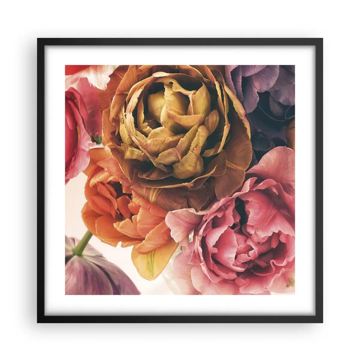 Plakat w czarnej ramie - Święto życia - 50x50 cm