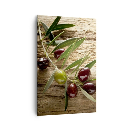 Obraz na płótnie - Gałązka oliwna z owocami na tle postarzanego drewna - 80x120cm - Prosto od natury - Nowoczesna dekoracja ścienna do salonu i sypialni ARTTOR