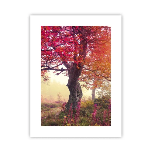 Plakat - Szał rozkwitu - 30x40 cm