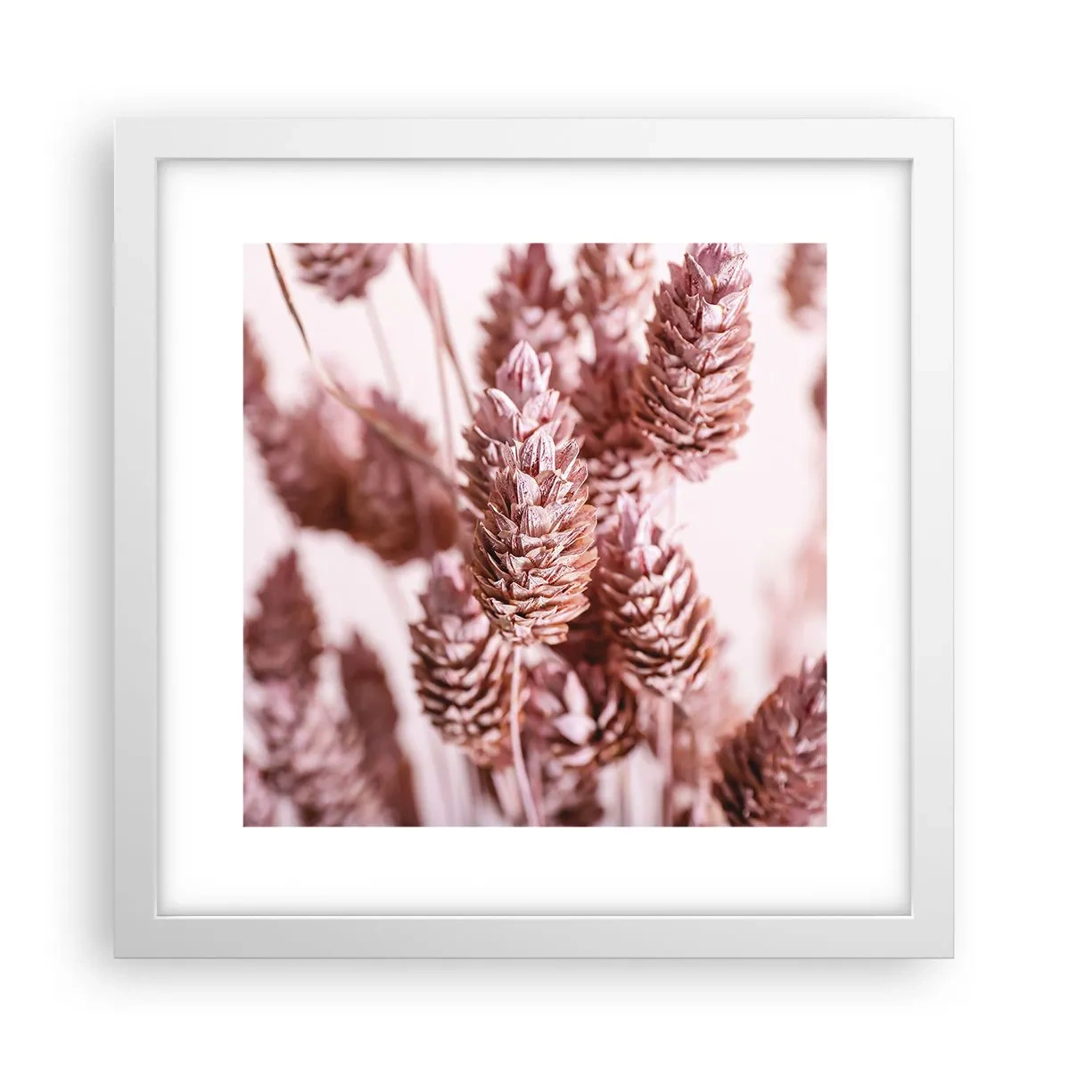 Plakat w białej ramie - Z pozoru niepozorne - 30x30 cm