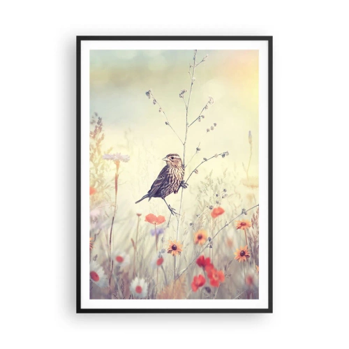 Plakat w czarnej ramie - Ptasi portret z łąką w tle - 70x100 cm