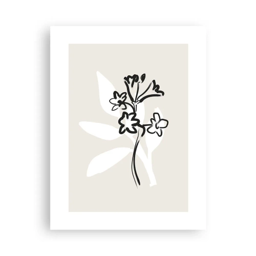 Plakat - Szkic do zielnika - 30x40 cm