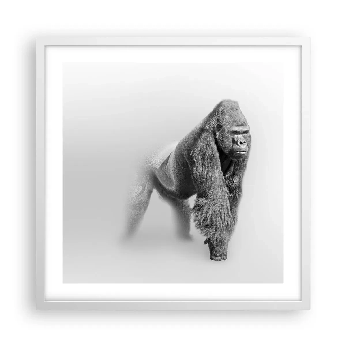 Plakat w białej ramie - Pewny swej siły - 50x50 cm