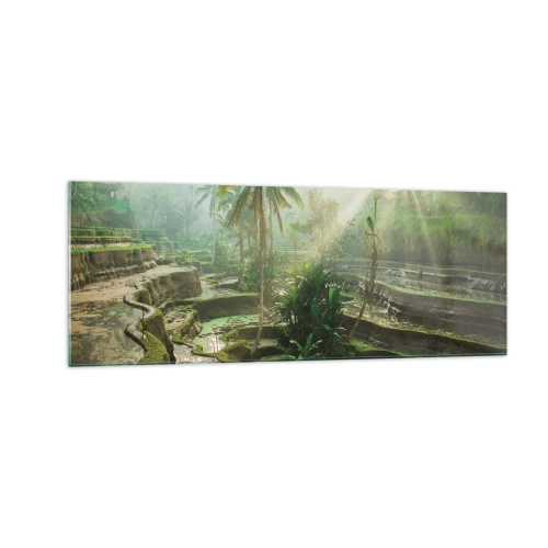 Obraz na szkle - Tarasy ryżowe z palmami w promieniach słońca - 140x50cm - Dorastać w słońcu - Nowoczesna dekoracja ścienna do salonu i sypialni ARTTOR