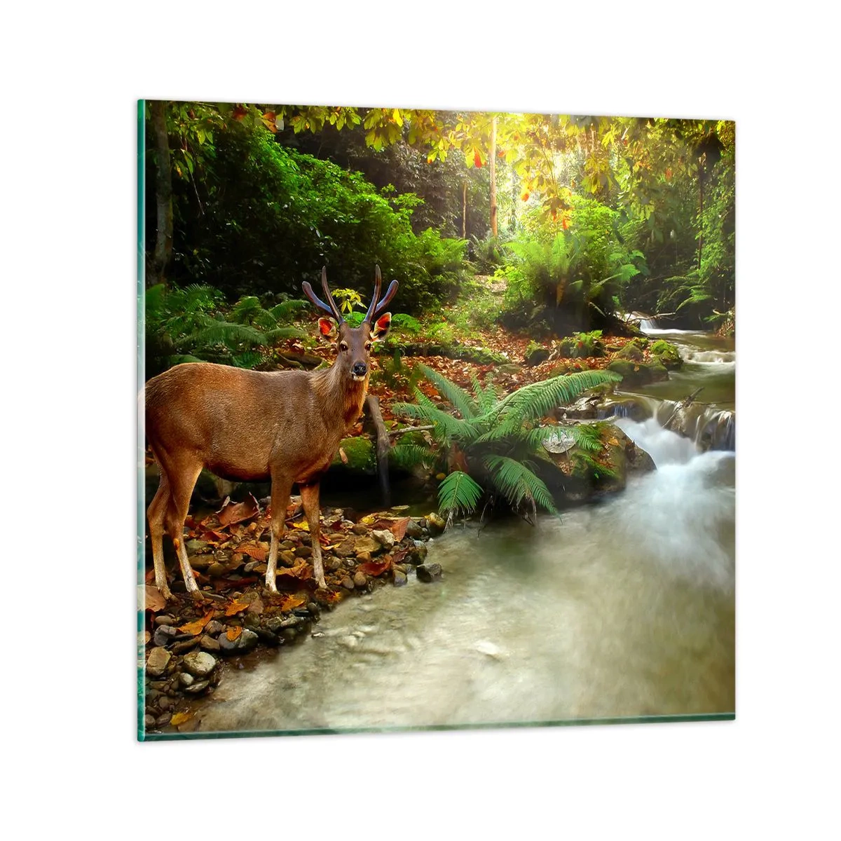 Obraz na szkle - Witam w moim świecie - 60x60 cm