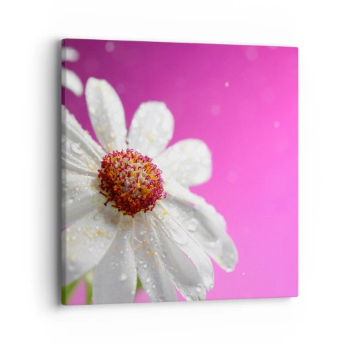 Obraz na płótnie - Skromny w swojej urodzie - 40x40 cm