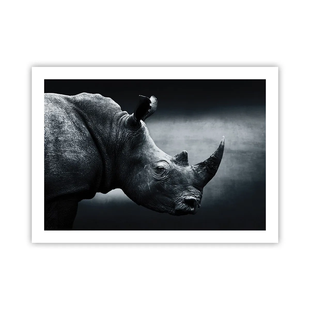 Plakat - Prawy profil - 70x50 cm