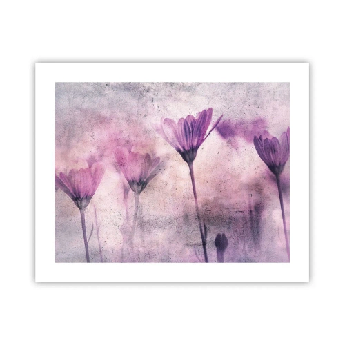 Plakat - Sen kwiatów - 50x40 cm