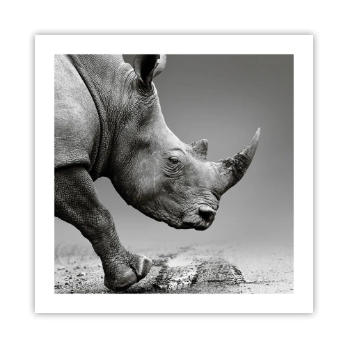 Plakat - Niepowstrzymana siła - 50x50 cm