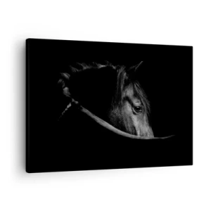 Obraz na płótnie - Czarno-biały portret konia w subtelnej grze światła i cienia na ciemnym tle - 70x50cm - Czarny książę - Nowoczesna dekoracja ścienna do salonu i sypialni ARTTOR