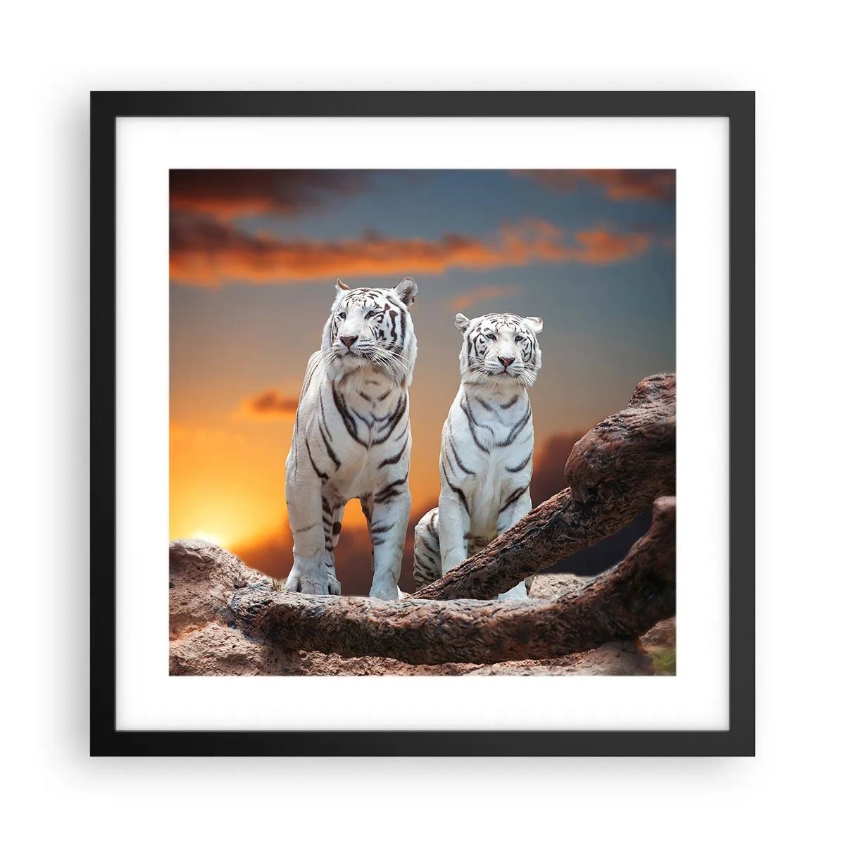 Plakat w czarnej ramie - Zupełnie jak w Narni - 40x40 cm