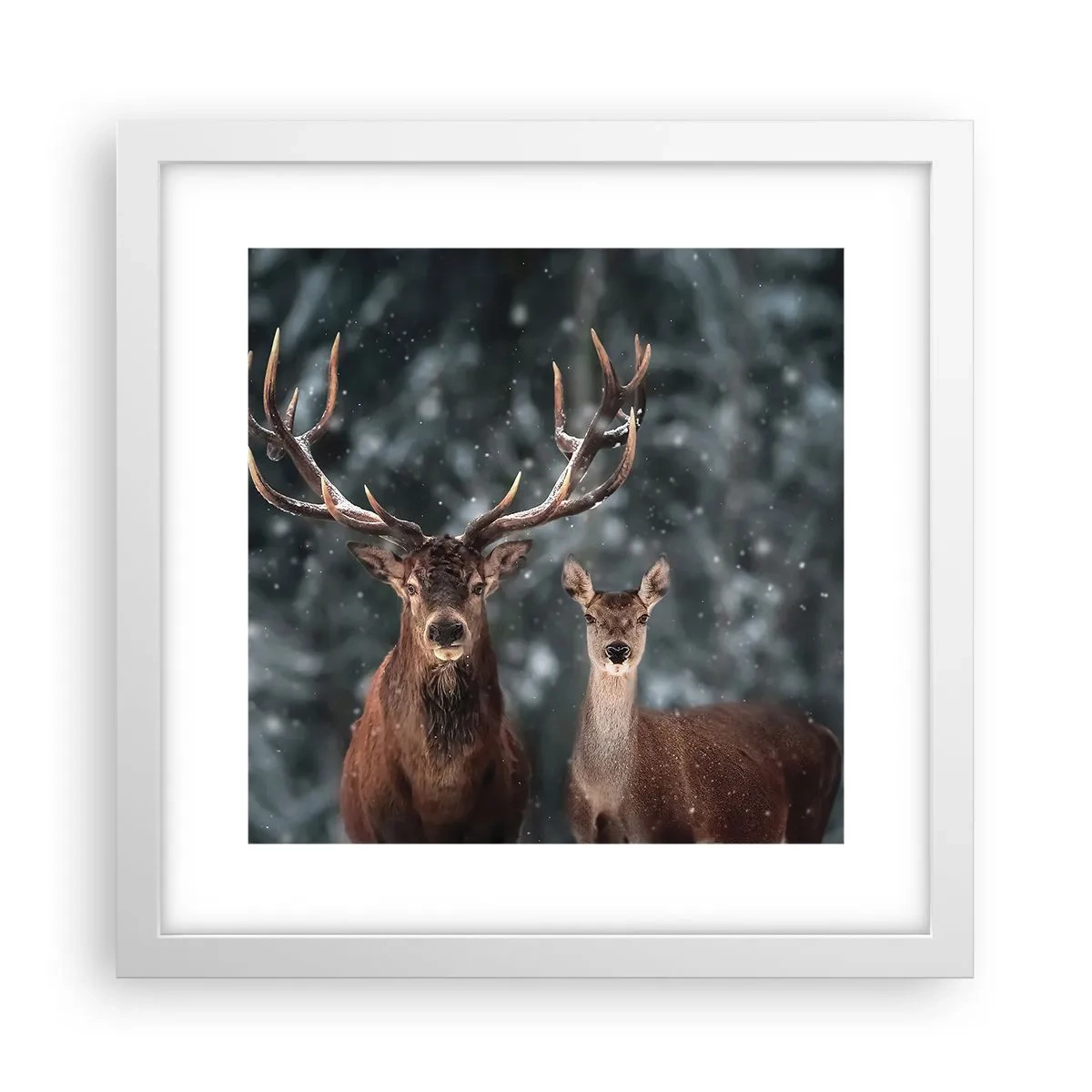 Plakat w białej ramie - Pan lasu z małżonką - 30x30 cm
