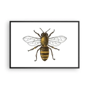 Plakat w czarnej ramie - Piękna i dobra - 91x61 cm