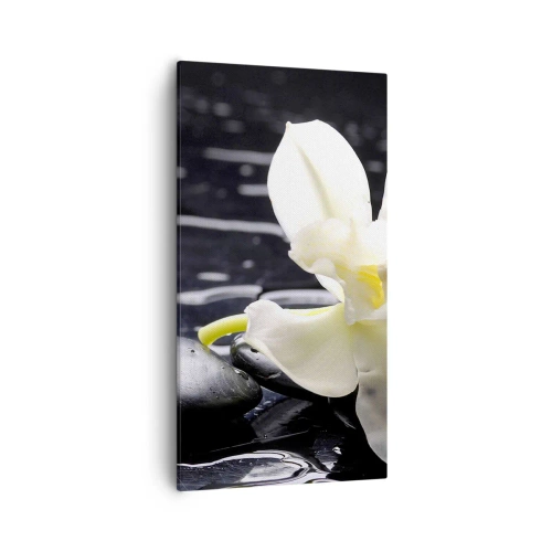 Obraz na płótnie - Studium w czerni i bieli - 55x100 cm