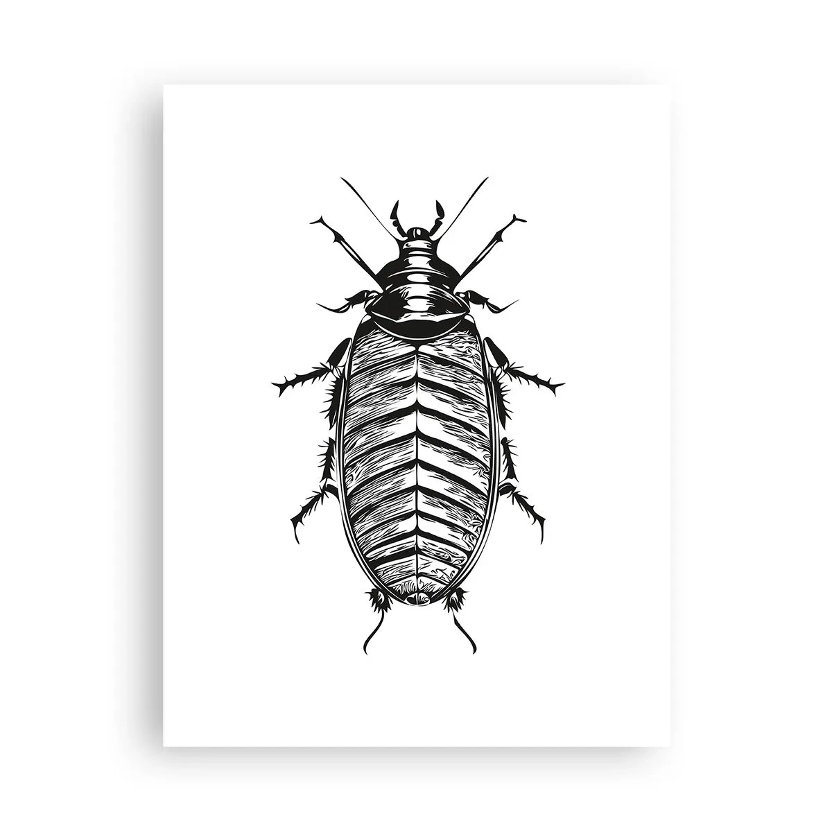 Plakat - Co za okaz! - 30x40 cm