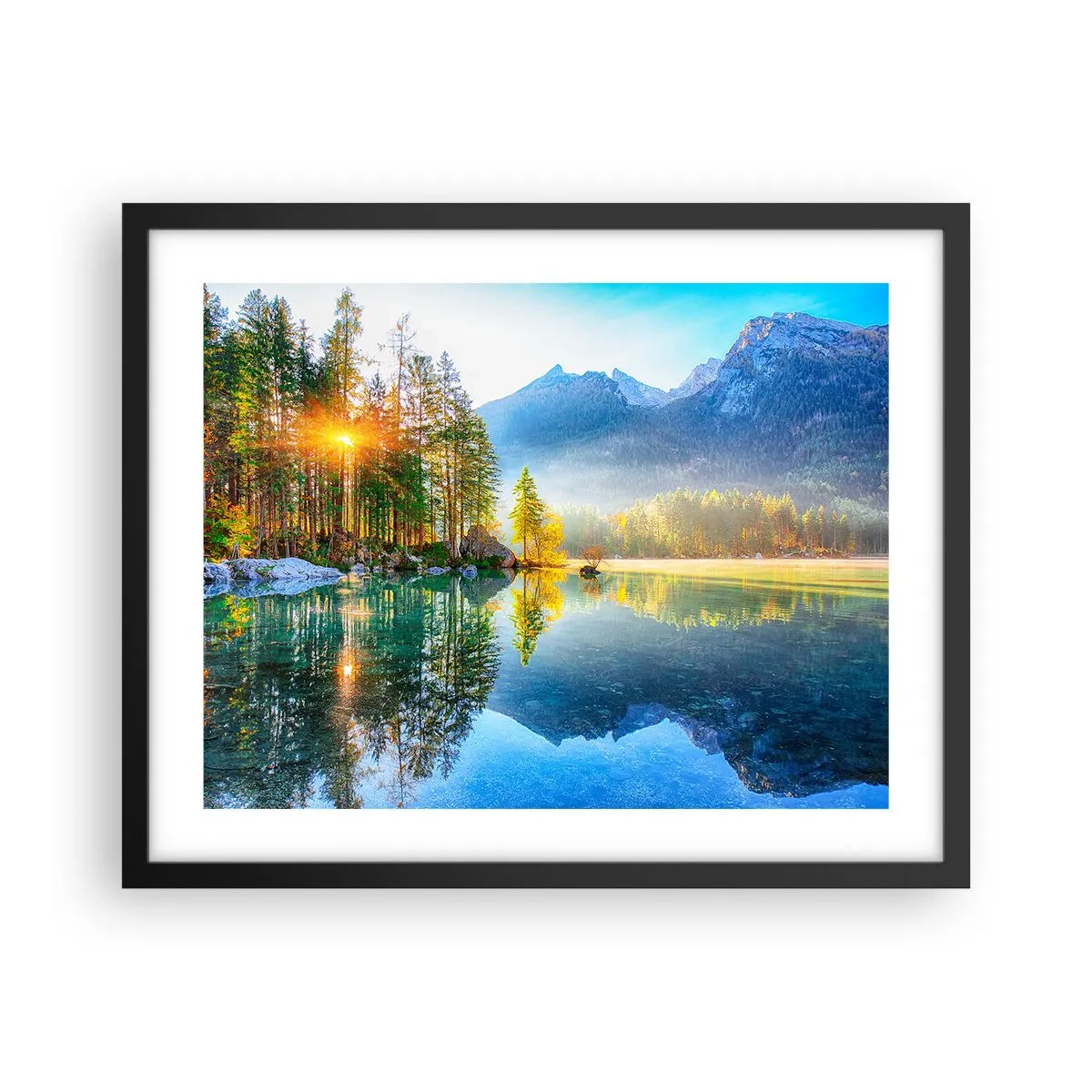 Plakat w czarnej ramie - Majestat i słodycz - 50x40 cm