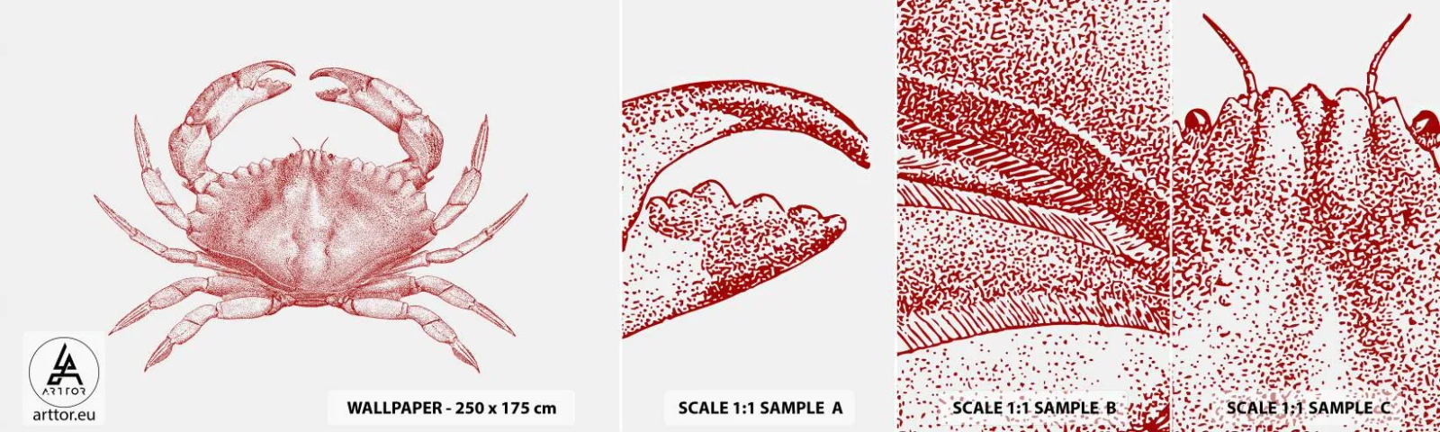 Fototapeta Próbka Standard Eco - Krab nad kraby - Krab, Owoce Morza, Skorupiak - 100x30 cm