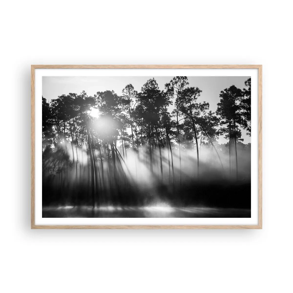Plakat w ramie jasny dąb - Niepowstrzymane słońce - 100x70 cm