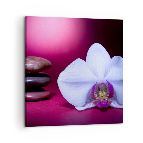 Obraz na płótnie - Studium świeżości w fiolecie - 60x60 cm