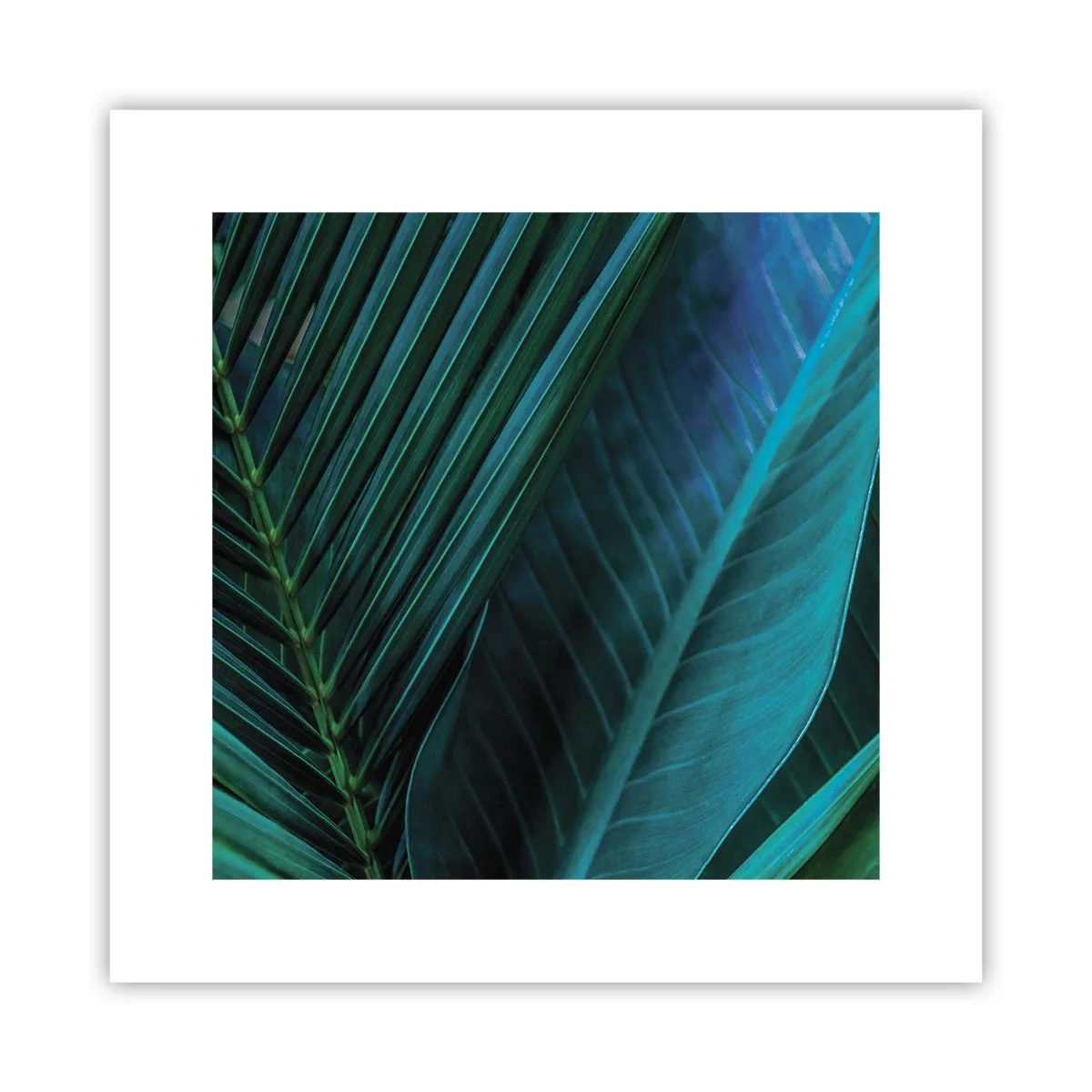 Plakat - Anatomia zieleni - 30x30 cm