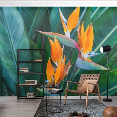 Fototapeta Premium Canvas - Egzotyczne kwiaty strelicji otoczone zielonymi liśćmi - 100x70cm - Czy to kwiat, czy to ptak? - Nowoczesna dekoracja ścienna do salonu i sypialni ARTTOR
