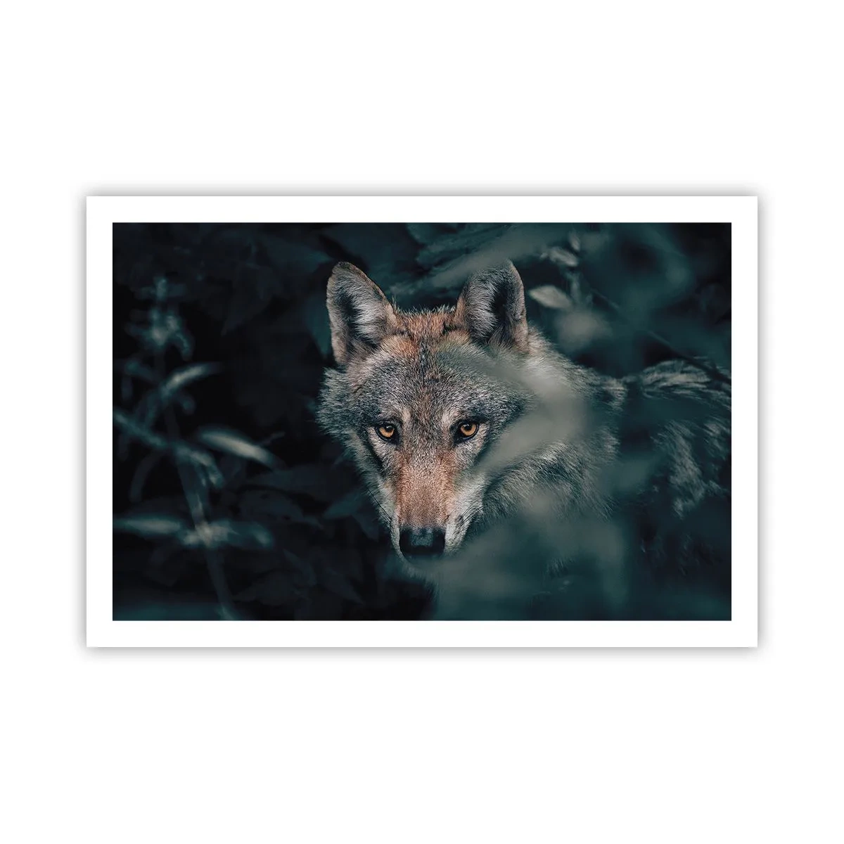 Plakat - Łowca - 91x61 cm