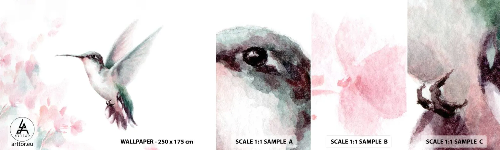 Fototapeta Próbka Standard Eco - Zatrzymany w trzepocie - Koliber, Ptak, Sztuka - 100x30 cm