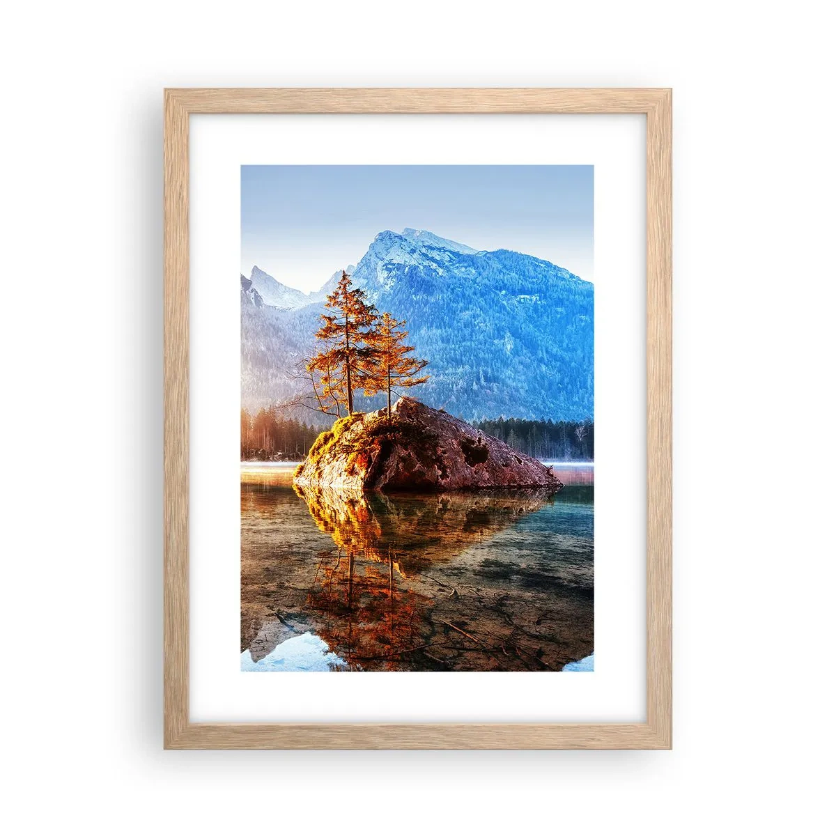 Plakat w ramie jasny dąb - Natura w nowym świetle - 30x40 cm