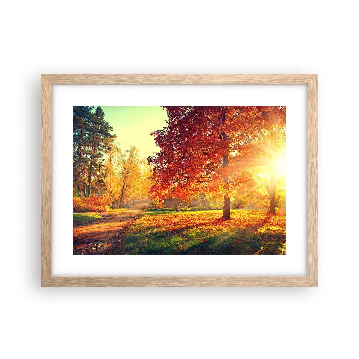 Plakat w ramie jasny dąb - Rude jest piękne - 40x30 cm