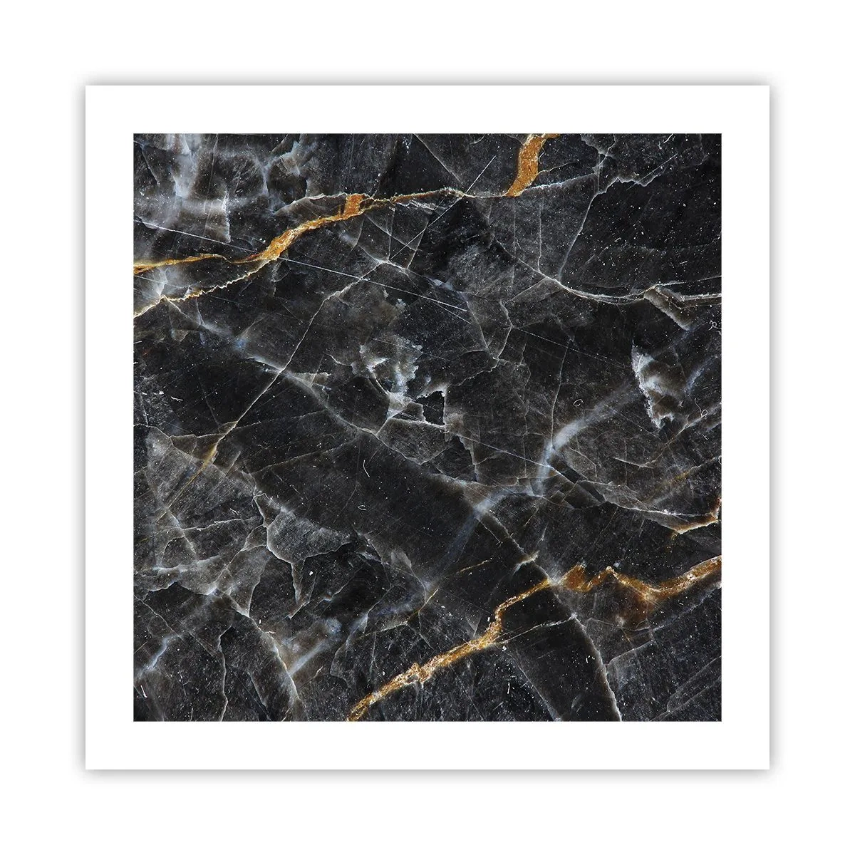 Plakat - Wewnętrzne życie kamienia - 50x50 cm