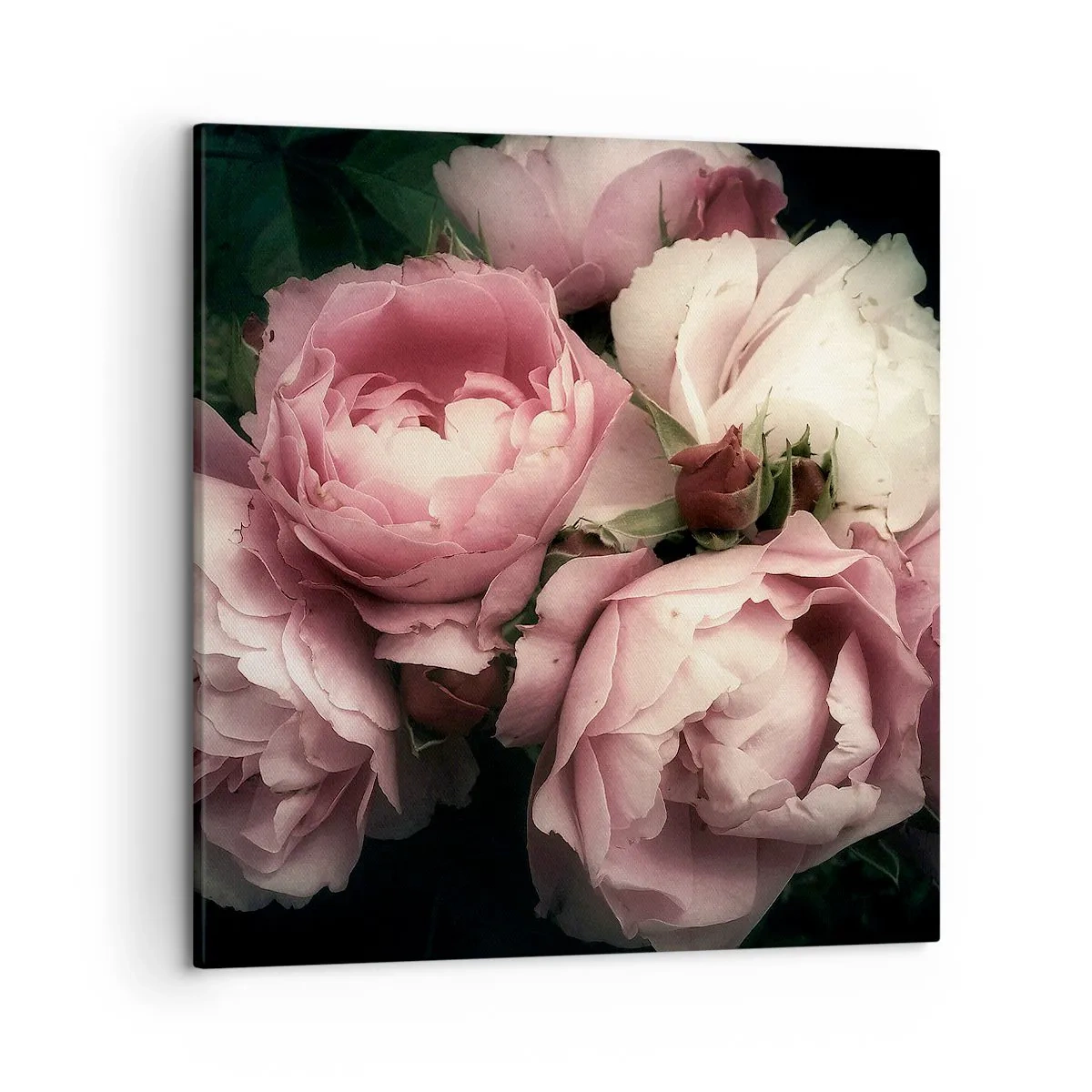 Obraz na płótnie - Czar belle epoque - 50x50 cm