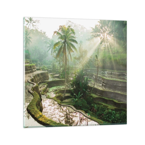 Obraz na szkle - Dorastać w słońcu - 70x70 cm