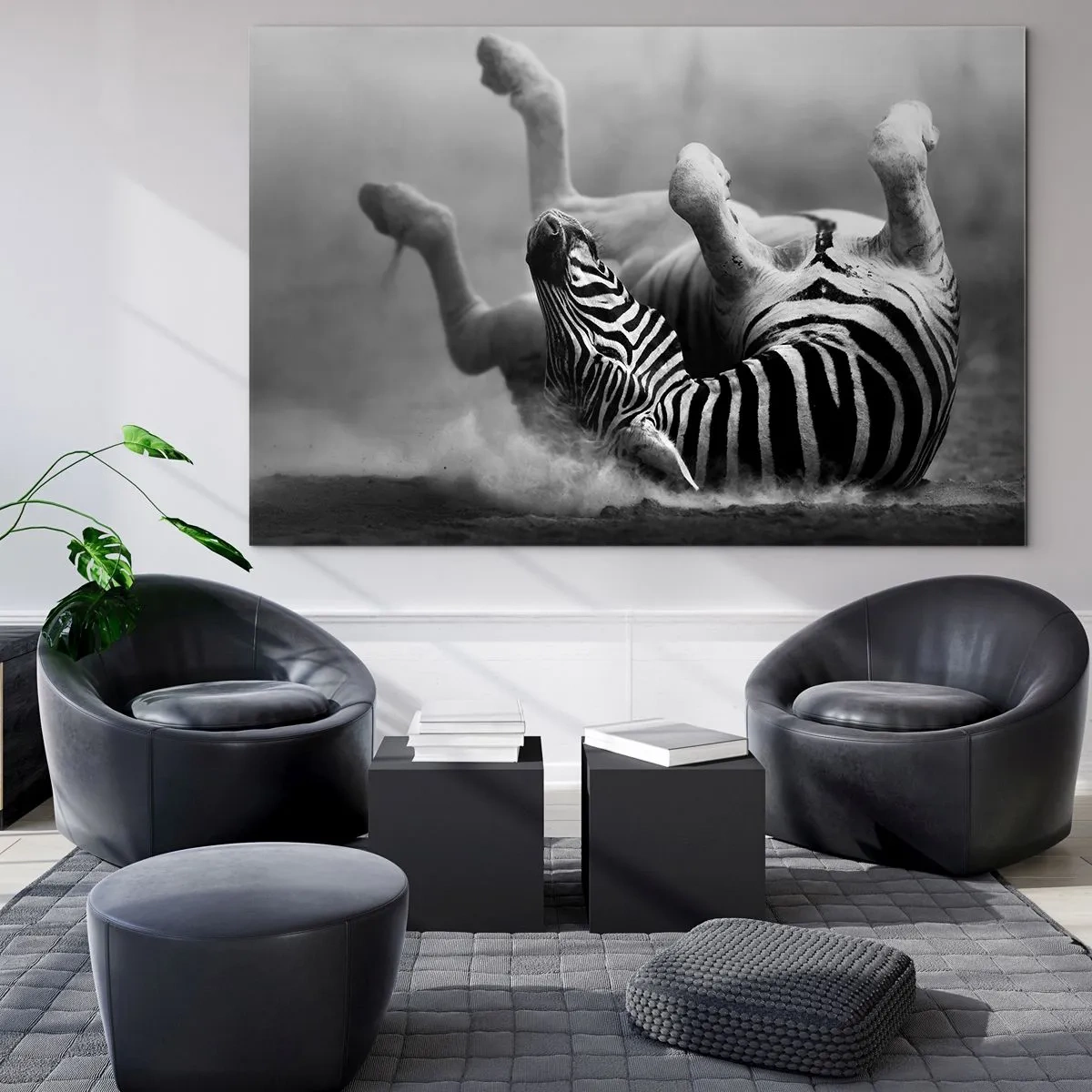 Obraz na szkle - Zebra w leżącej pozie na afrykańskiej sawannie - 70x50cm - Nie tylko koń by się uśmiał - Nowoczesna dekoracja ścienna do salonu i sypialni ARTTOR
