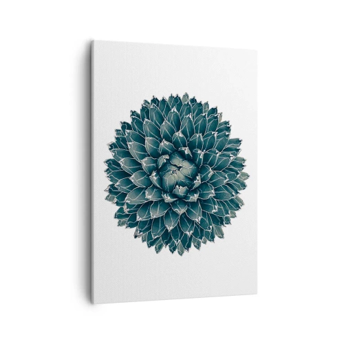 Obraz na płótnie - Symetryczna rozeta sukulenta o niebiesko-zielonych liściach na jasnym tle - 50x70cm - Gwiazda pustyni - Nowoczesna dekoracja ścienna do salonu, kuchni i sypialni ARTTOR