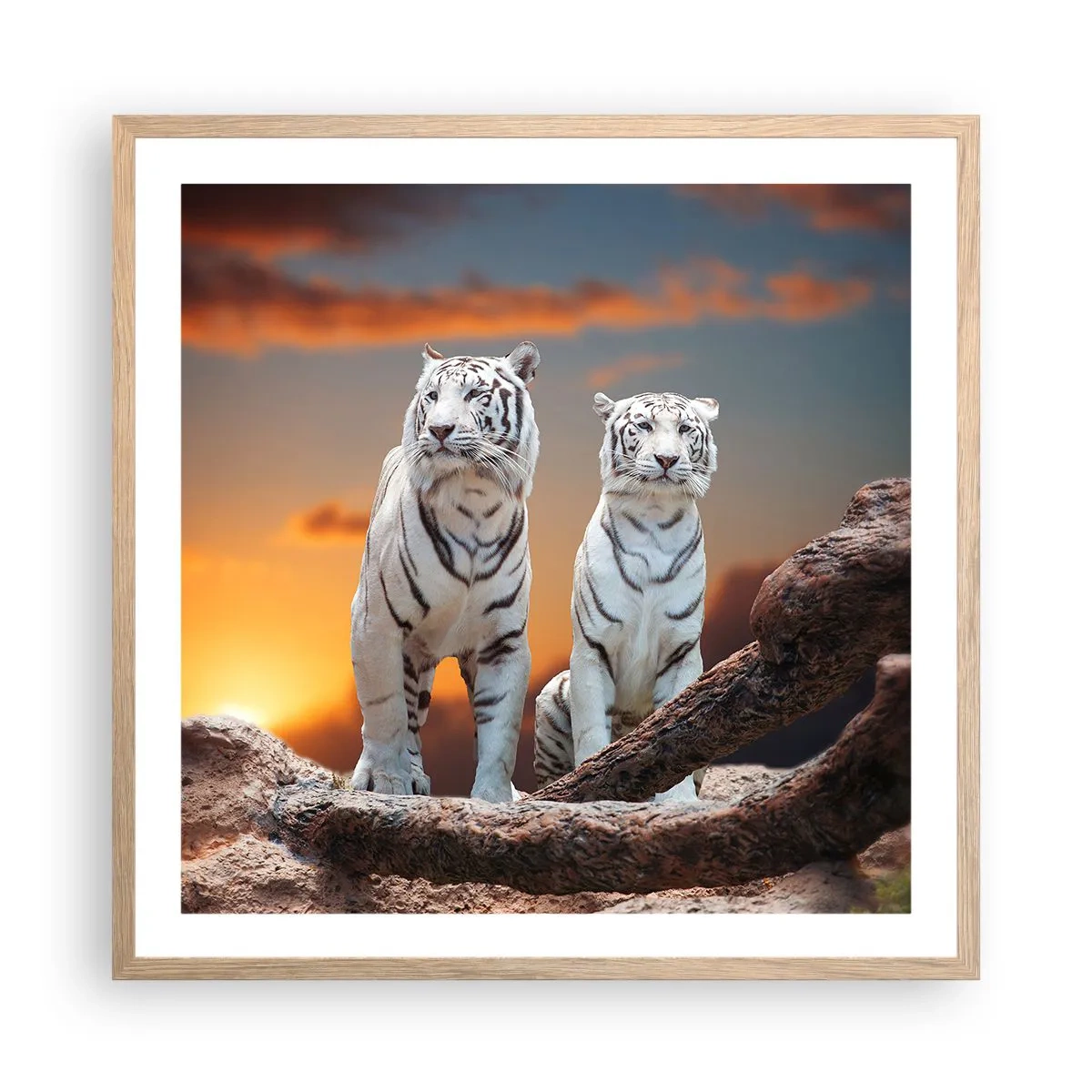 Plakat w ramie jasny dąb - Zupełnie jak w Narni - 60x60 cm