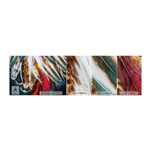 Fototapeta Próbka Standard Eco - Tajemnice lotu - Abstrakcja, Sztuka, Boho - 100x30 cm