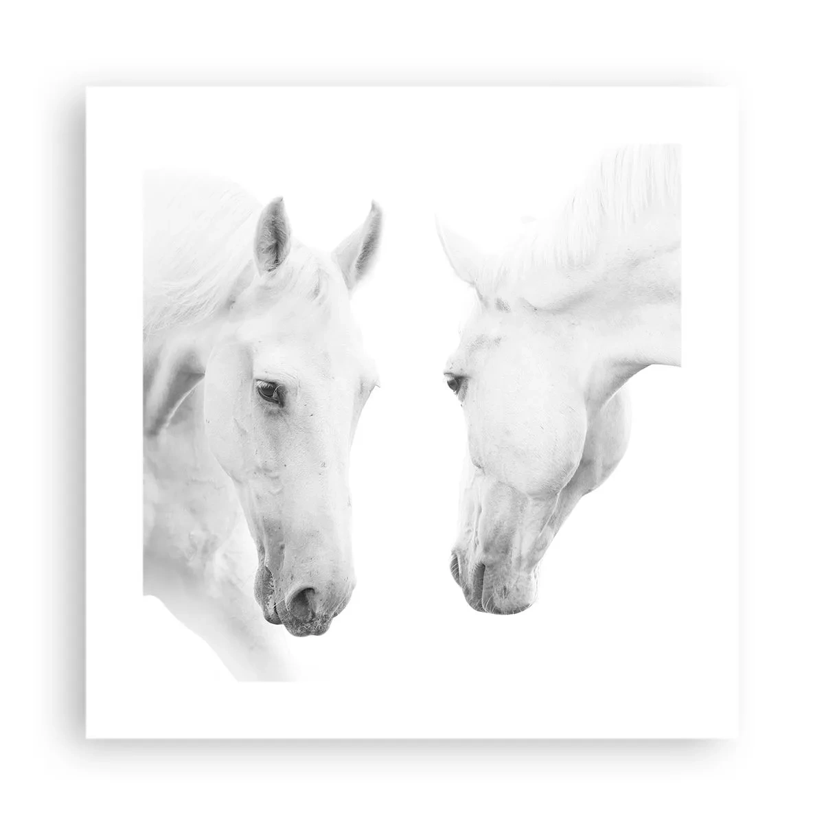 Plakat - Czy to jest przyjaźń…? - 40x40 cm