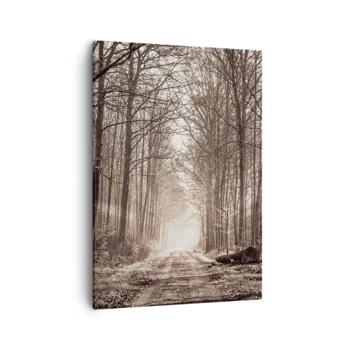 Obraz na płótnie - Aleja drzew w mglistym lesie - 50x70cm - Leśna katedra - Nowoczesna dekoracja ścienna do salonu, kuchni i sypialni ARTTOR