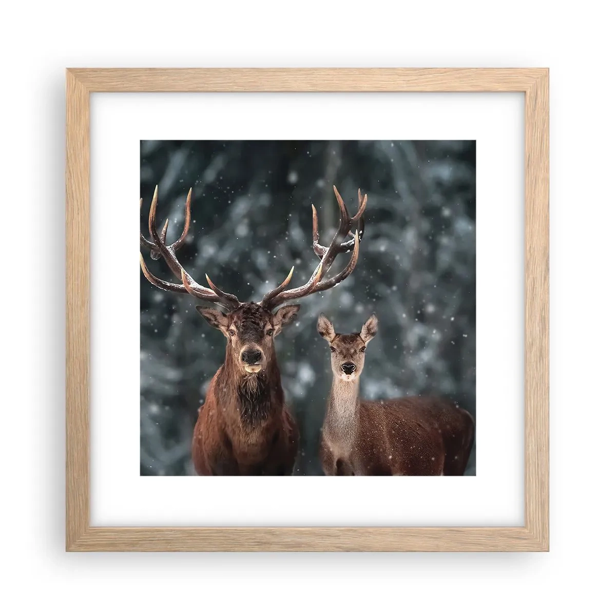 Plakat w ramie jasny dąb - Pan lasu z małżonką - 30x30 cm
