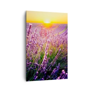 Obraz na płótnie - Pole lawendy o zachodzie słońca - 80x120cm - Pachnący łan - Nowoczesna dekoracja ścienna do salonu i sypialni ARTTOR