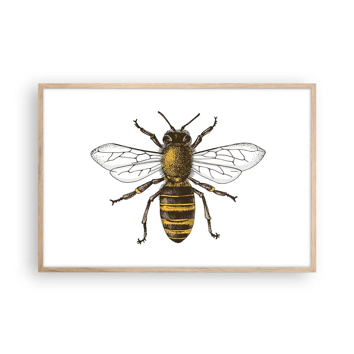 Plakat w ramie jasny dąb - Piękna i dobra - 91x61 cm