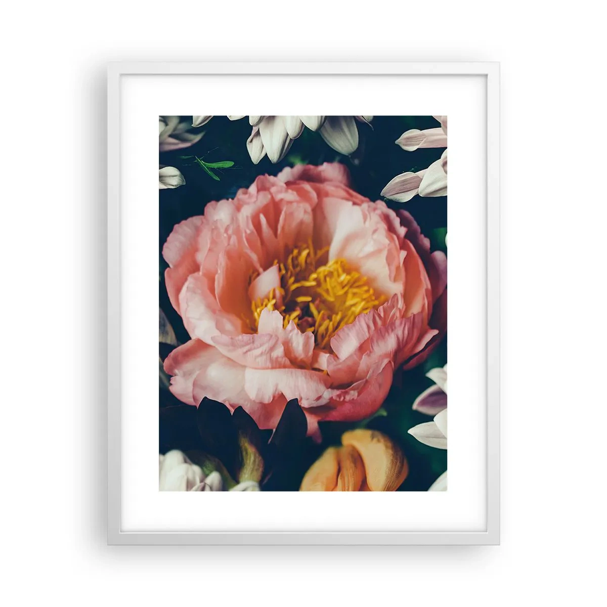Plakat w białej ramie - Z barokowym przepychem - 40x50 cm