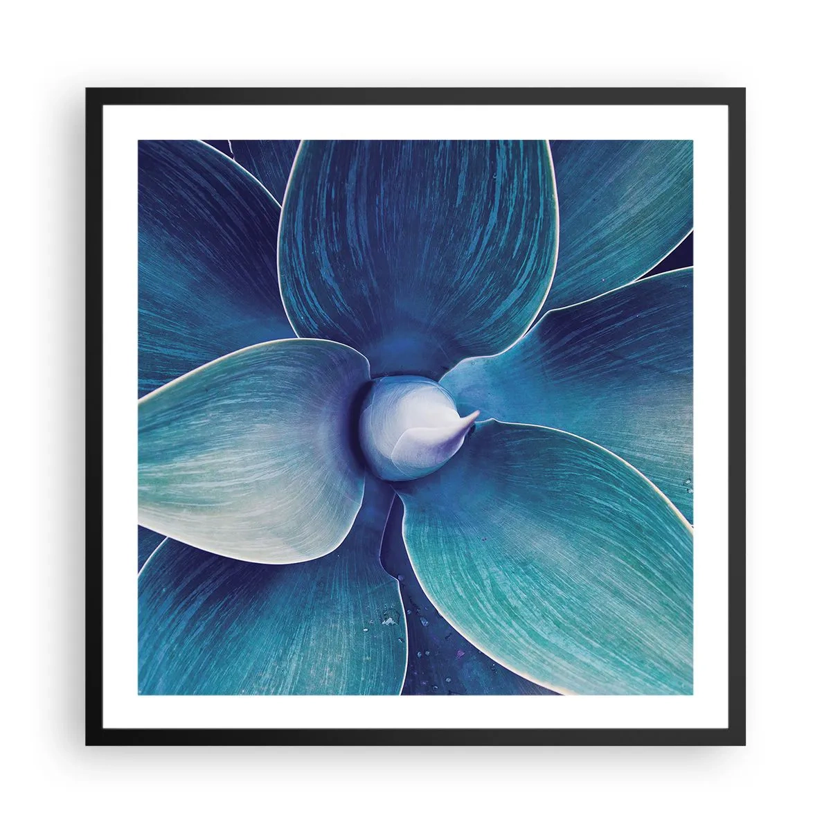Plakat w czarnej ramie - Zbłękitniały od nieba - 60x60 cm