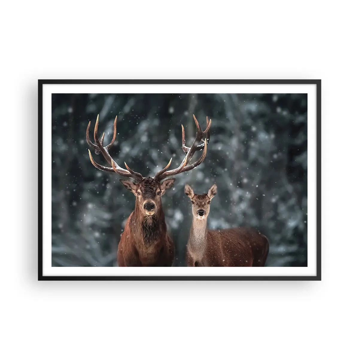 Plakat w czarnej ramie - Jelenie w zimowym lesie pokrytym śniegiem - 100x70cm - Pan lasu z małżonką - Nowoczesna dekoracja ścienna do salonu i sypialni ARTTOR