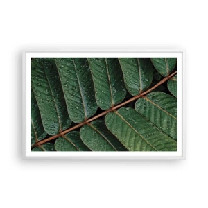 Plakat w białej ramie - W zielonym rytmie - 91x61 cm