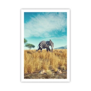 Plakat - Szarość już niemodna - 61x91 cm