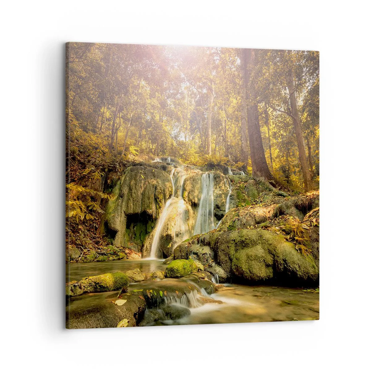 Obraz na płótnie - Leśna kaskada w zieleni - 50x50 cm