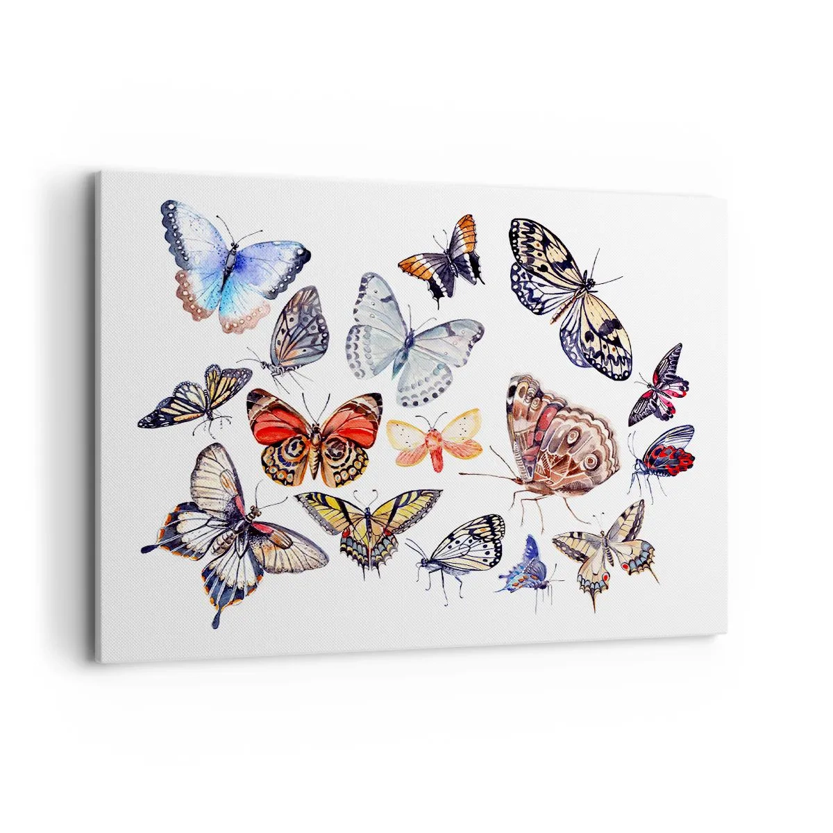Obraz na płótnie - Kolorowe motyle na białym tle - 100x70cm - Koronkowy, barwny rój - Nowoczesna dekoracja ścienna do salonu, kuchni i sypialni ARTTOR