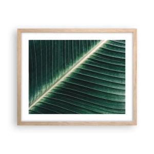 Plakat w ramie jasny dąb - Rytm natury - 50x40 cm