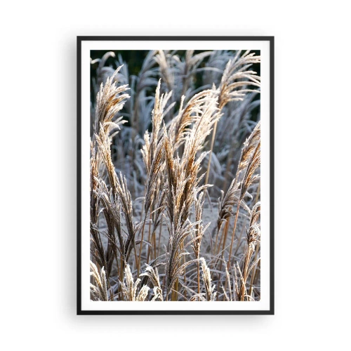 Plakat w czarnej ramie - Szronem ustrojone - 70x100 cm